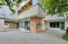 Spatiu comercial nicolina - 3