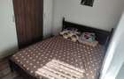 Apartament 2 camere Alexandria - 5