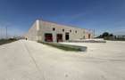 Parc logistic 17000 mp de vanzare, Chitila, investi?ie cu venit stabil - 8