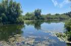 Teren 637mp Silistea Snagovului | Toate Utilitatile | Proprietar