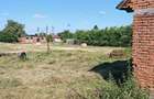 Proprietar Vand Teren Intravilan 1,74 Ha ?i Grajd la ?osea, Comuna Bata, Jud. Arad - 5