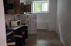 Inchiriere apartament vila zona UMF - 8