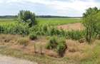 Teren intravilan de vinzare urgent - 2