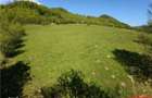 EXCEPTIONAL,Teren 5.370mp, Poiana Sarata - 2