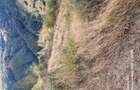 Vand doua parcele de teren in suprafa?a de 3000 ?i 4700 mp - 7