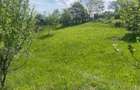 Teren de vanzare-zona Schiulesti Prahova - 5