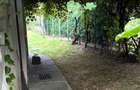 S.C.VIMAK Imobiliare vinde casa, zona A in Sighisoara