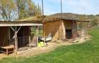 Casă cu 2 camere cu Teren 2100 Mp în Lozna - 8