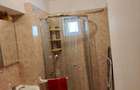 Apartament 2 Camere de Inchiriat Starda Prundului (Zona de Jos a Orasului) - 7