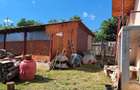 Cand casa intr-un loc minunat - 6