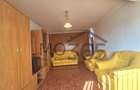 Apartament cu 3 camere decomandat în Tudor Vladimirescu - 7