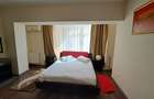 Apartament cu 3 camere decomandat în Herăstrău - 39