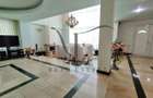 Vila premium 8 camere zona Nord Herastrau Nicolae Caranfil Aviatiei - 3