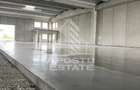 Spațiu industrial, de 523 mp, în Sânandrei - 1
