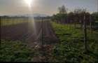 Vand teren intravilan - 1