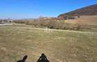 Teren 4 362 Mp Intravilan de Vanzare, Str Caprioarei, Sangeorgiu de Ms - 5