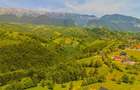 Teren extravilan de 2000 mp, în Peștera - 5