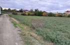 COSERENI( il ) - TEREN 2K MP DE VANZARE (52 M DESCHIDERE ... - 7