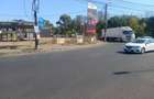 piata agroalimentara - 4