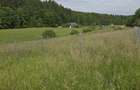 Teren de vanzare in localitatea Vladeni comuna Dumbravita judetul Brasov - 4