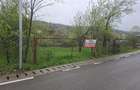vand teren Predeal Sarari (saratel) - 2