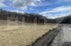 Teren extravilan de vanzare, 2,4 hectare, zona drumul Tarpiu - 3