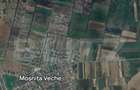 Teren extravilan 23.600 mp, Mosnita Noua! - 1