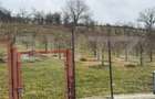Teren de vanzare, Zona linistita, ideal construire - 4