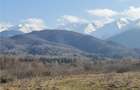 Teren Construcții intravilan de 2500 mp, în Porumbacu de Jos - 4
