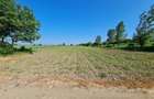 Anunt vanzare teren intravilan in 1 Decembrie, Ilfov - 7