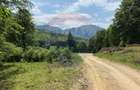 Teren de 6000 mp, în Dălghiu - 6
