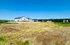 OPORTUNITATE INVESTITIE | TEREN VOLUNTARI | MATEI MILLO | 2680 MP - 3