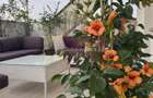 Apartament 3 camere cu terasa 133 mp, Timpuri Noi - 3