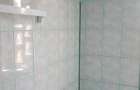 Apartament cu 2 camere decomandat în Iosefin - 4