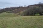 Teren intravilan in zona de dealuri 67000mp - 6