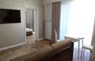 Inchiriere apartament 2 camere, de lux, zona Piata Mihai Viteazu - 10