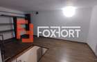Apartament cu 2 camere decomandat în Iosefin - 8