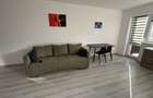 Studio de Inchiriat Subcetate Sanpetru385 - 6