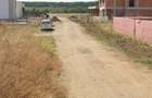 Teren de vanzare Balotesti 15.000 mp zona in dezvoltare - 2