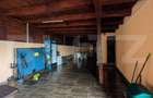 Casa de vanzare, 300 mp, zona Sud - 10