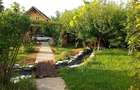 Casa ( P+E ) Zona Mitocasi-Mitocul Dragomirnei - 3