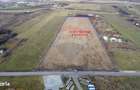 Teren 19.375 mp Dambu Rotund. Potential rezidential. Extravilan - 5