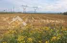 Teren agricol extravilan de 9300 mp, în Săcele - 2