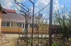Casa Nanov Teleorman - 5