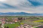 Teren intravilan de 49906 mp, în Stupini - 1