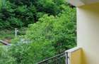 Casă cu 3 camere în Valea Roșie - 8