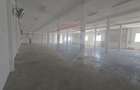Spațiu industrial, de 867 mp, în Someșeni - 5