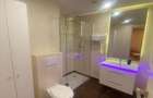 Apartament cu 2 camere semidecomandat în Herăstrău - 17