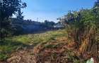 Casă în Căscioarele (Găiseni) - 4