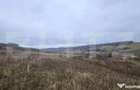 Teren intravilan 4774 mp de vanzare in Livezeni - 2